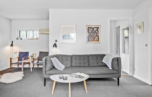 Caminetto, lettore DVD, tavolo da ping pong