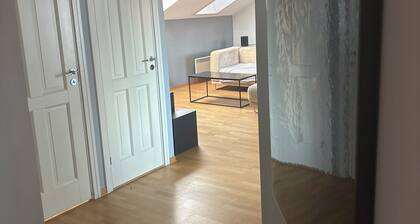 Old and charming penthouse 🧸🍷