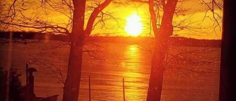 Vista desde la propiedad