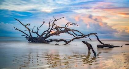 Newly Renovated 2bd/2ba Condo *Pool* 30+ Day Stays