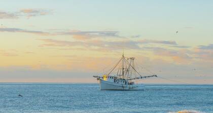 2bd/2ba Condo*Pool*Newly Renovated * 30+ day stays