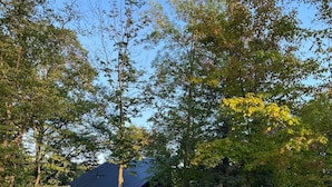 A house with a gravel driveway, surrounded by trees and a body of water.