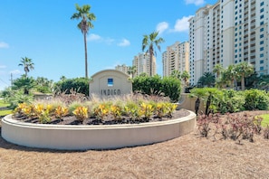 A landscaped area with a sign reading 'INDIGO,' surrounded by palm trees and a circular garden bed.
