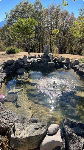 Tropical Vibes in the Pines