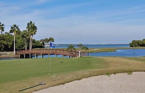Golf - Retro Retreat -  ⭐Close to the Beach! ⭐ Great Rates! (Clearwater)