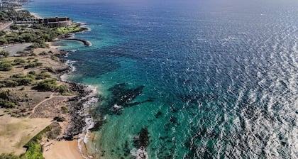 Opulent Remodel, Steps To Beach! HSA206