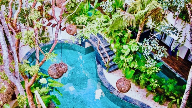 Ein Pool, umgeben von üppigem Grün und hängenden Körben.