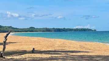 Chaises longues, serviettes de plage