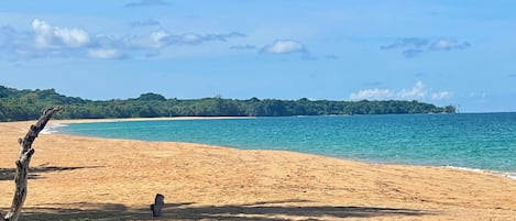 Sun-loungers, beach towels