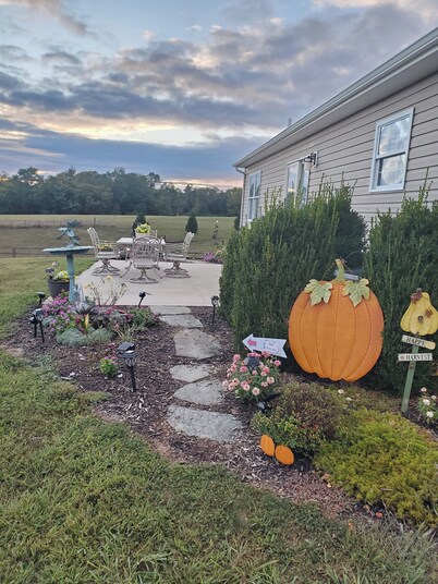 Galloping Getaway on the rolling hills of GemStone Stable