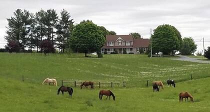 Galloping Getaway on the rolling hills of GemStone Stable