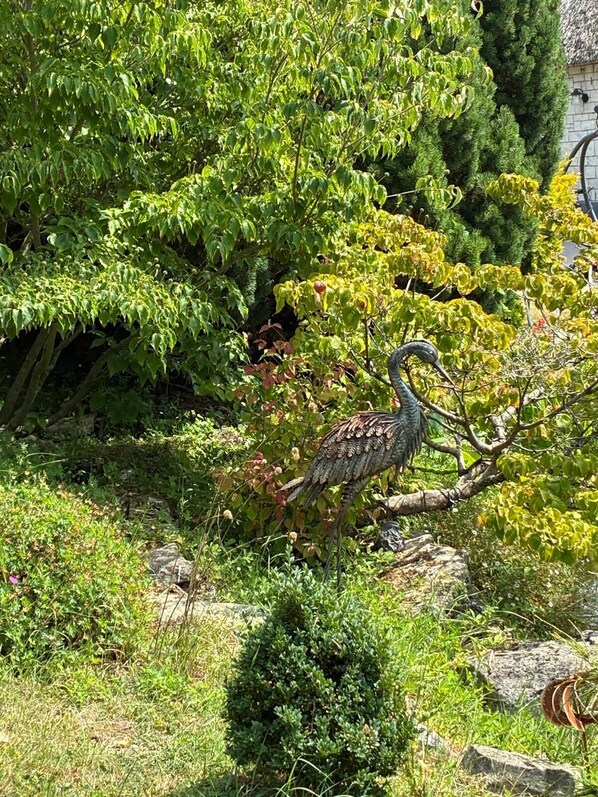 Jardines del alojamiento