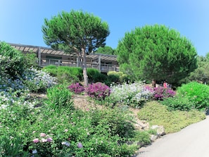 Terrain de l’hébergement 