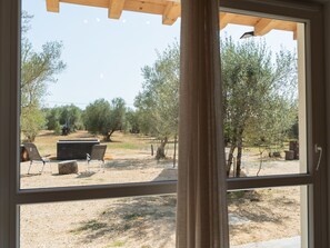 A view through a window of an outdoor area with a pergola, seating, and olive trees.