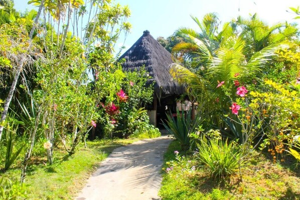 A pathway leading to a thatched-roof structure surrounded by lush tropical vegetation and flowering plants. - Pousada Colibri (Cairu)