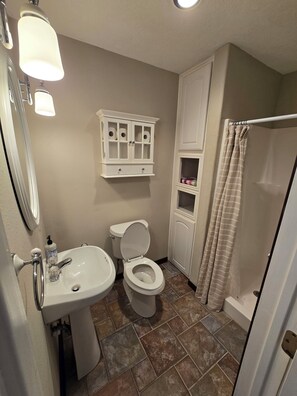 Shower, towels, soap, shampoo - Peaceful studio aparrtment in the spring creek area. 
 (Tomball)