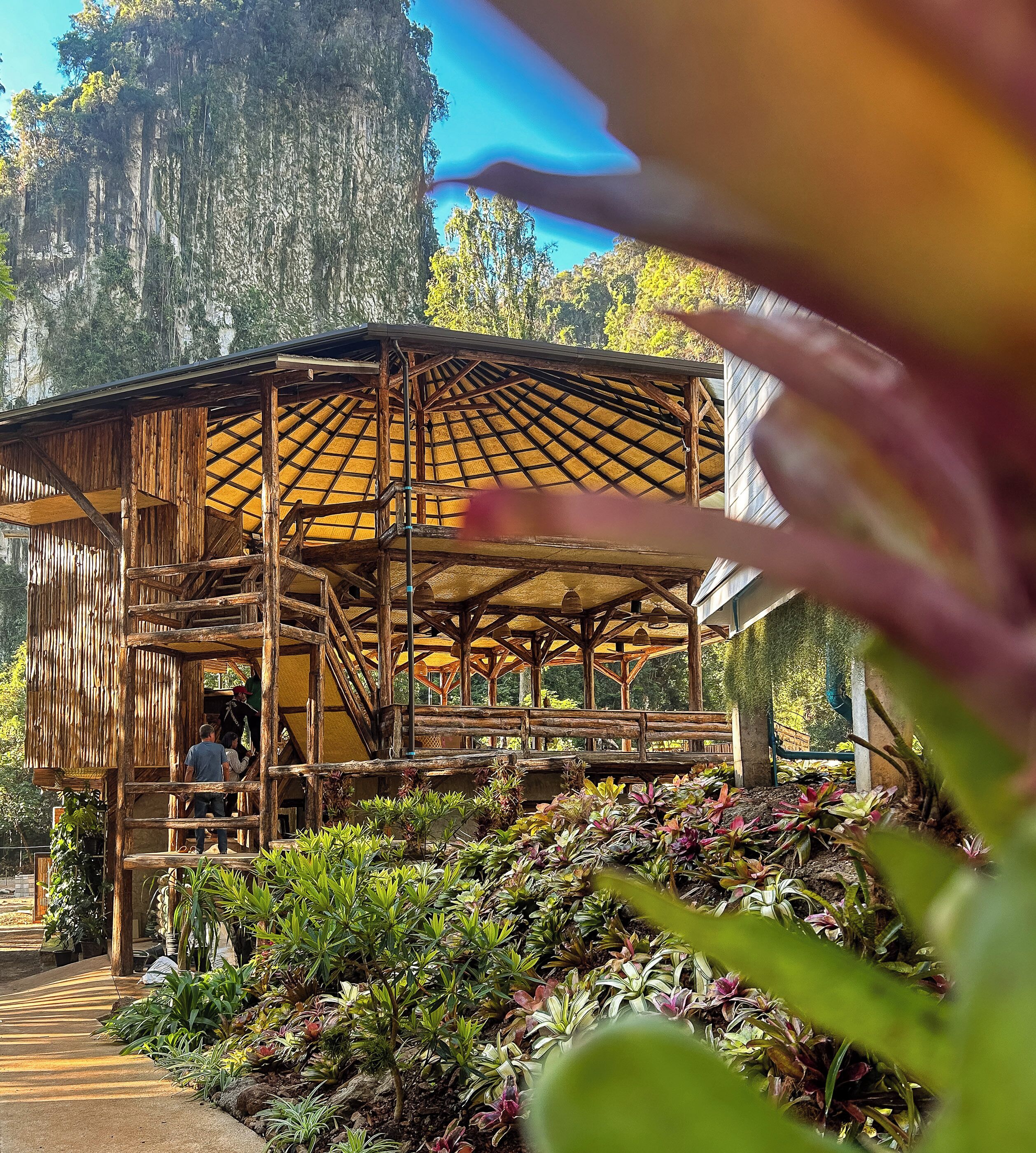A wooden pavilion with a thatched roof, surrounded by lush greenery and a large tree in the background.