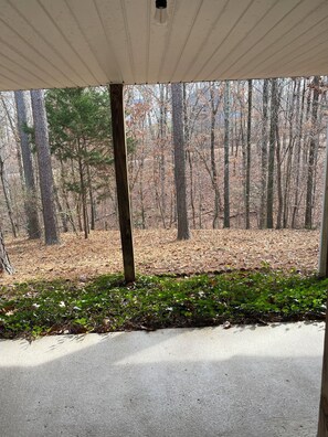 Àrea exterior de l'allotjament