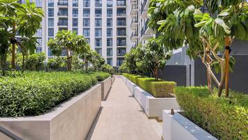 Terrein van de accommodatie