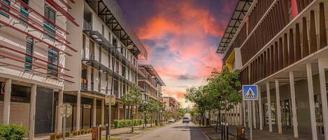 Basic Apartment | Miscellaneous