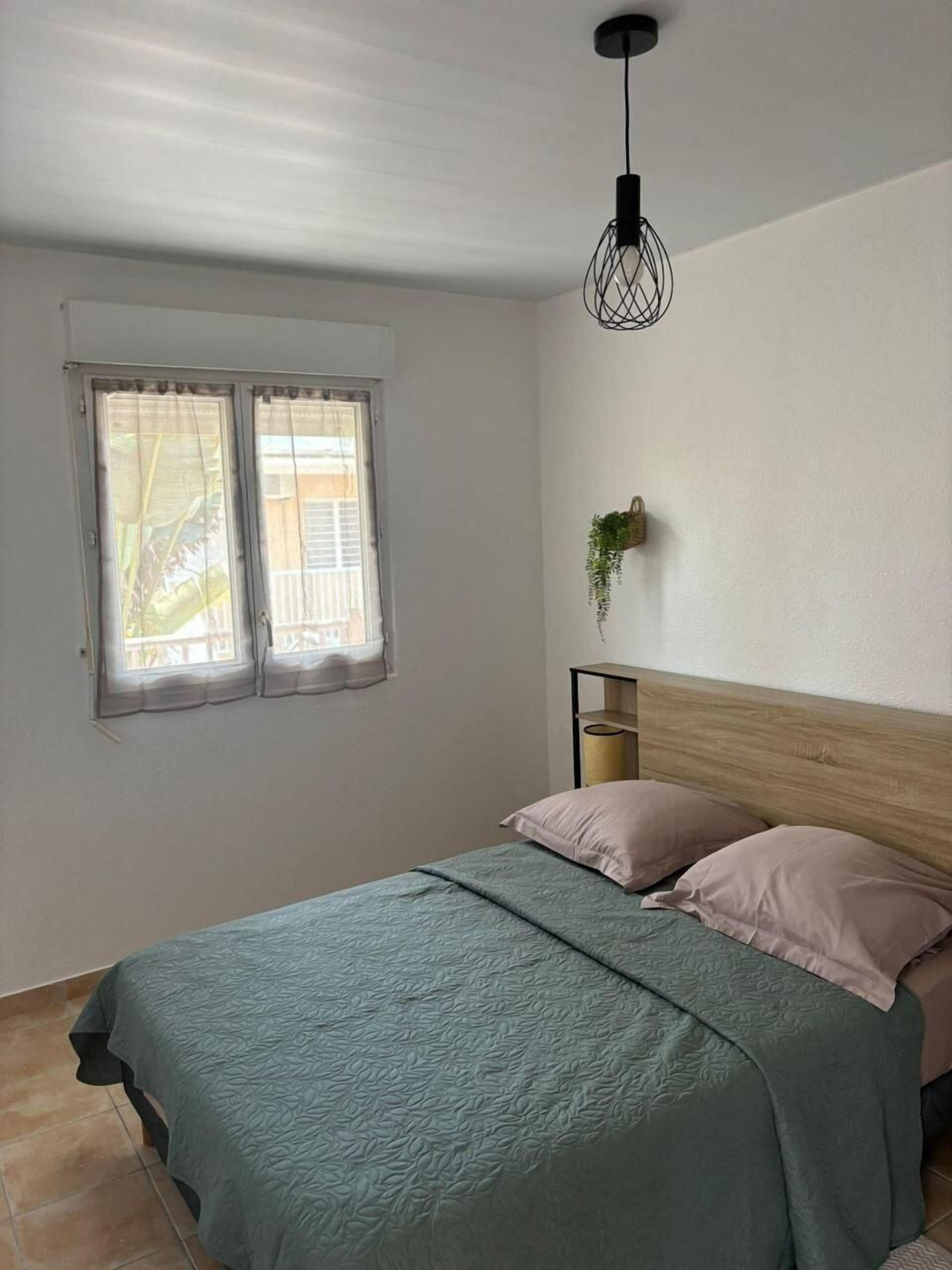 A bedroom with a bed, a hanging plant, and a window with curtains.