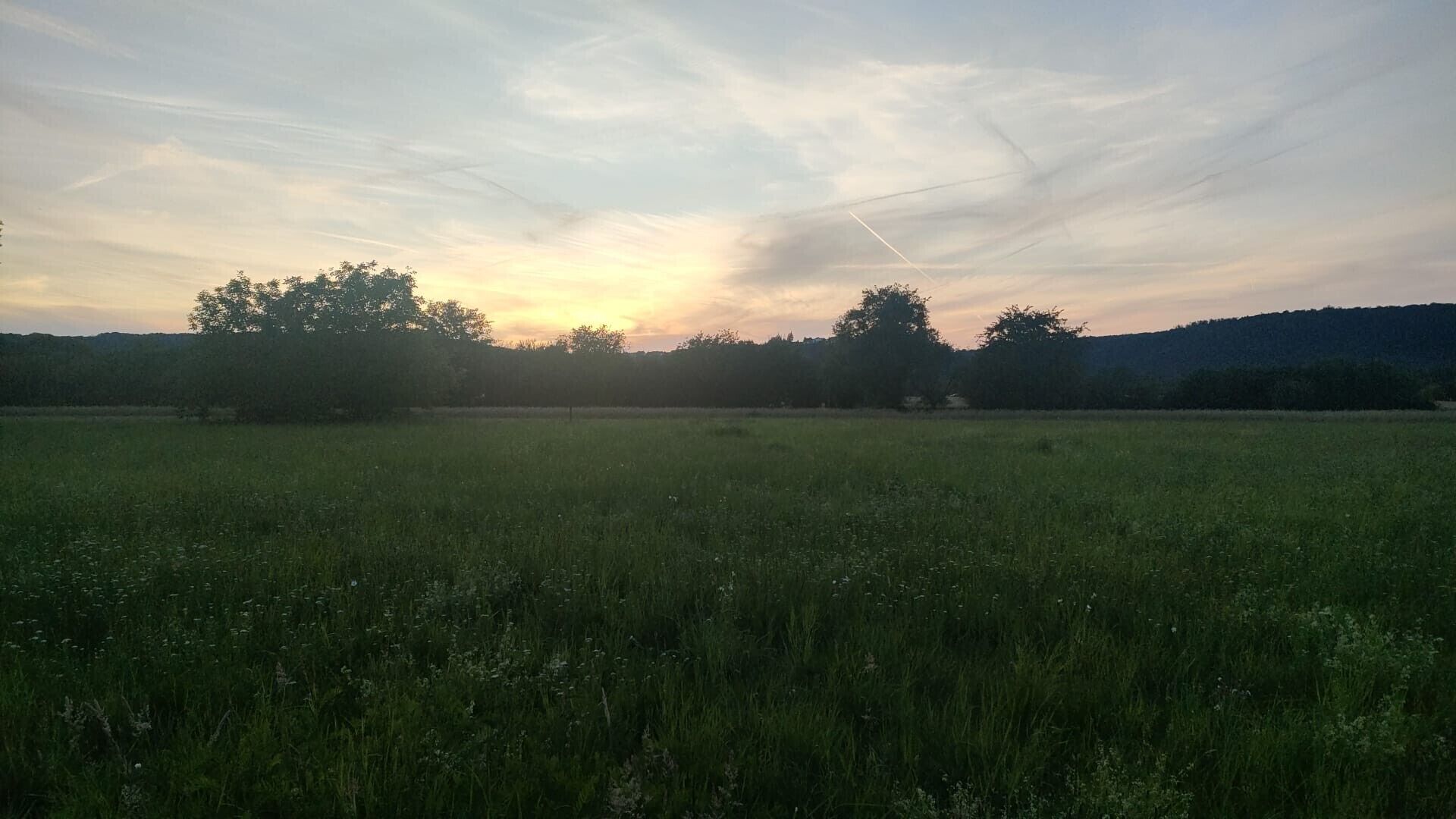 Un campo extenso con árboles a lo lejos y cielo despejado.