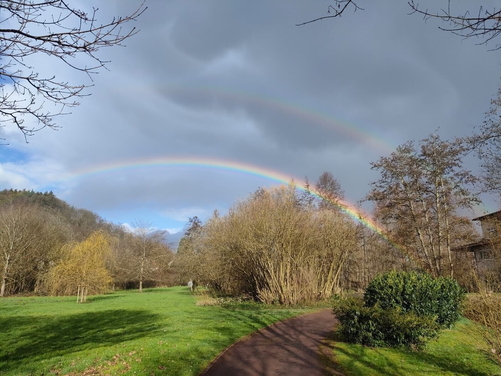 A park with a path, trees, and a rainbow.