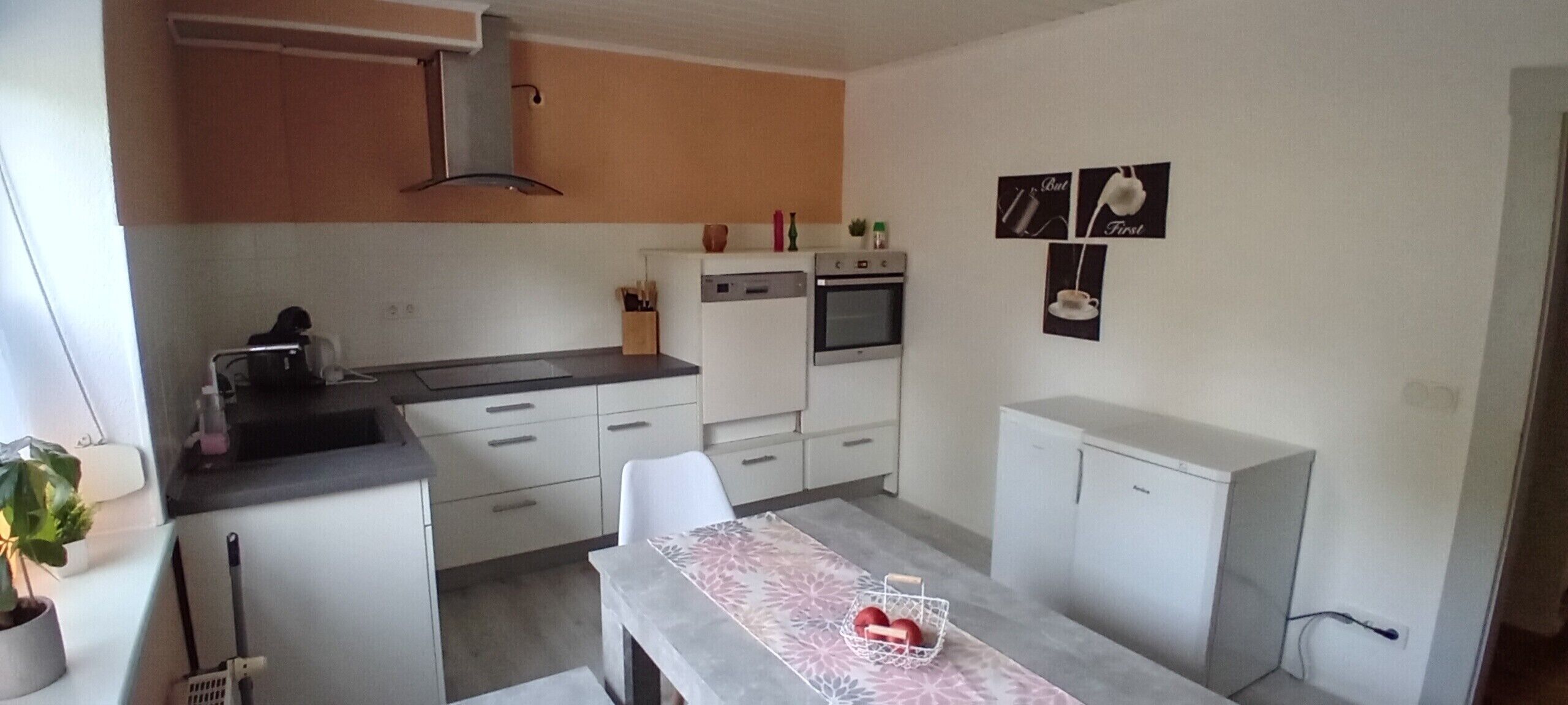 Kühlschrank, Ofen, Herdplatte, Geschirrspüler