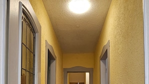 Un couloir avec un plancher en bois, un tapis noir et un luminaire au plafond.