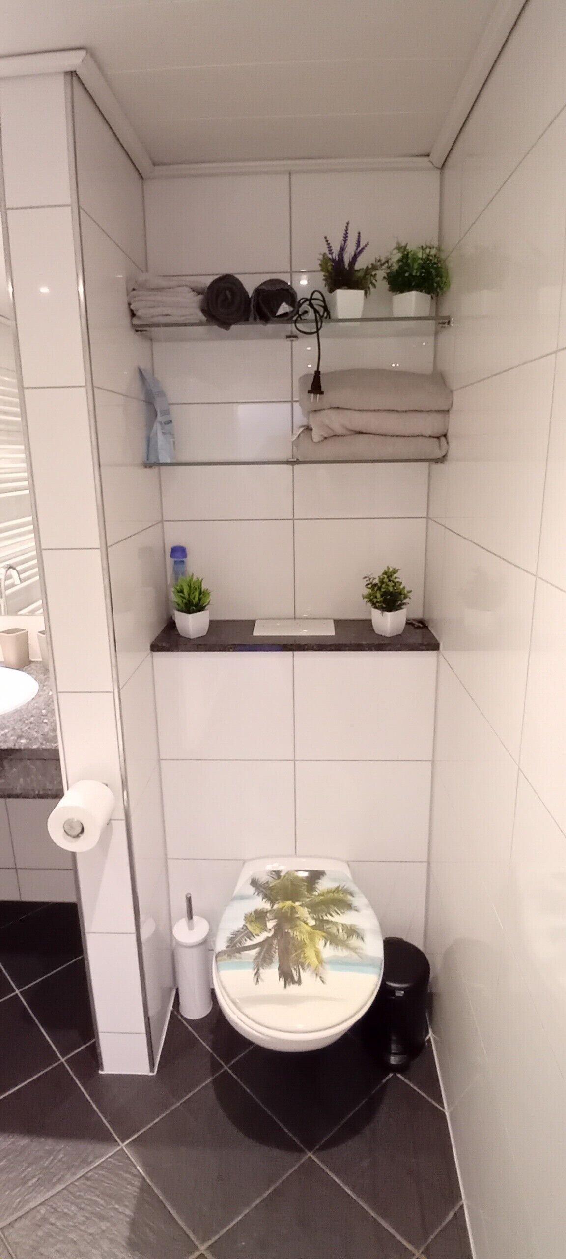 A bathroom with a toilet, a towel rack, and a shelf with plants.
