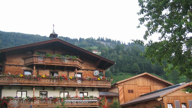 A wooden chalet with a balcony, surrounded by a garden with various plants and flowers.