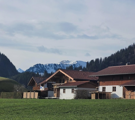Exterior. Holiday Apartment 'Obermaiselstein' with Mountain View and Private Terrace