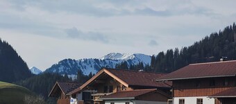 Holiday Apartment 'Obermaiselstein' with Mountain View and Private Terrace