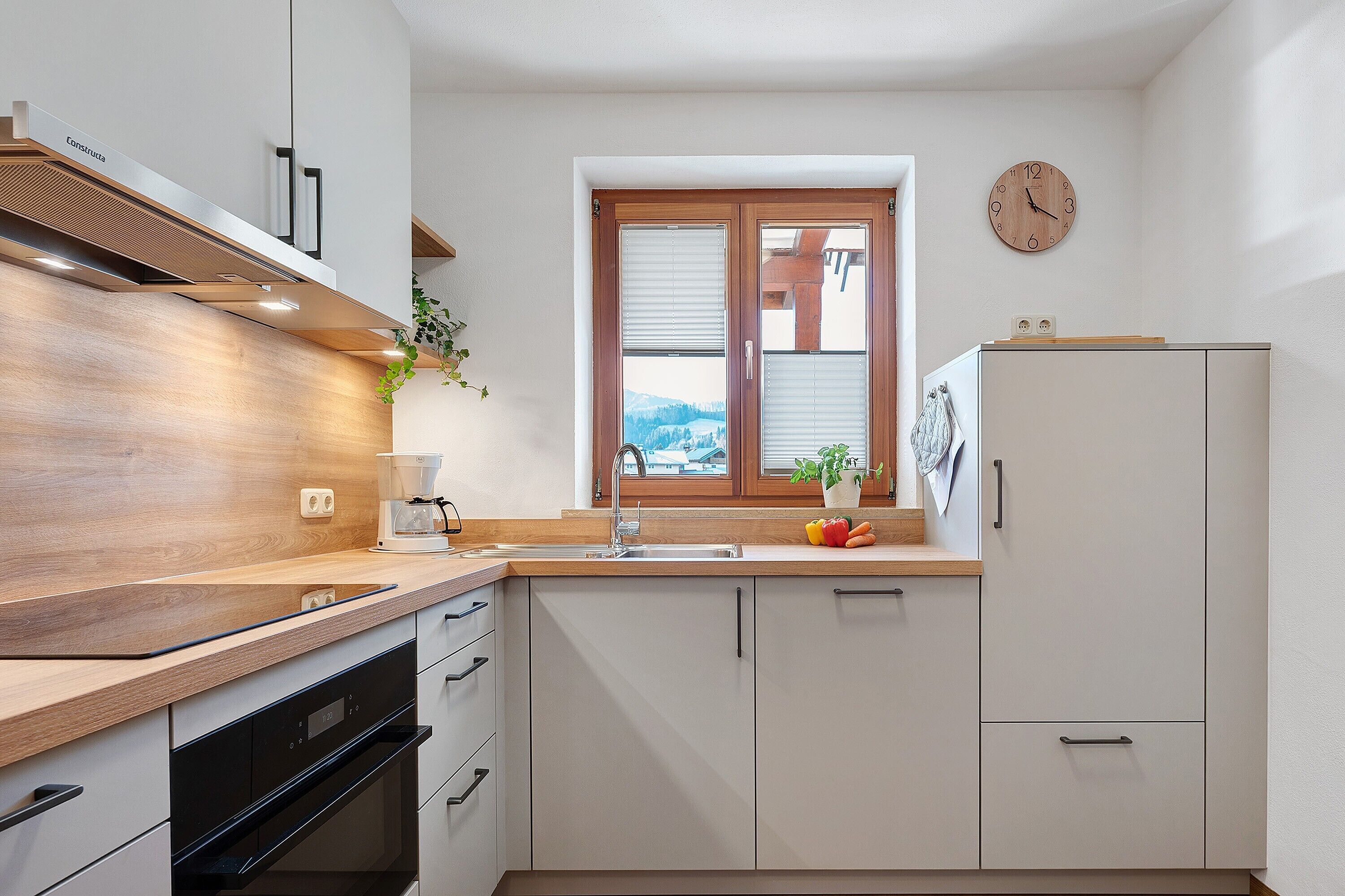 Kühlschrank, Ofen, Herdplatte, Geschirrspüler