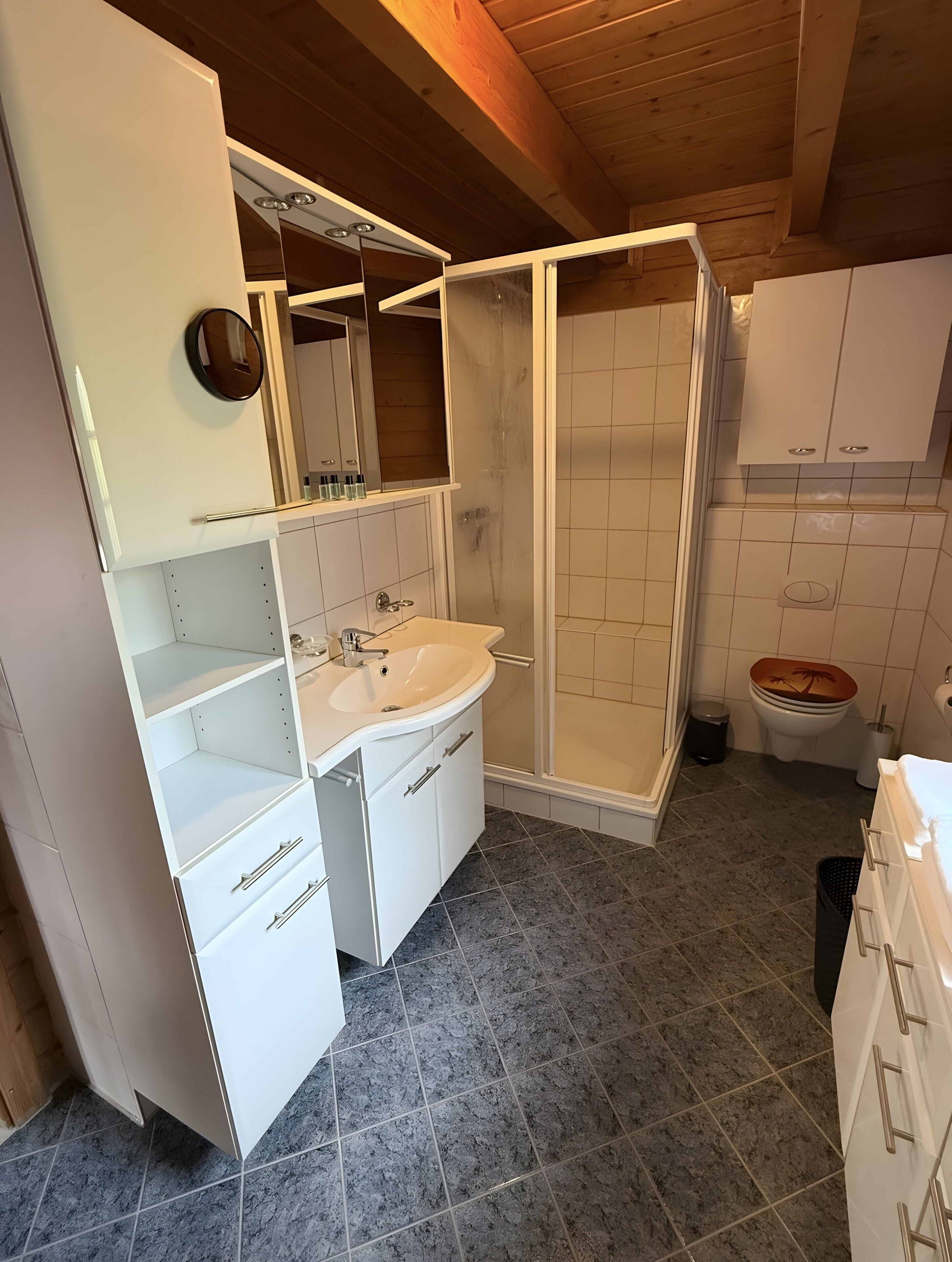 Et moderne badeværelse med bruser, toilet og håndvask.
