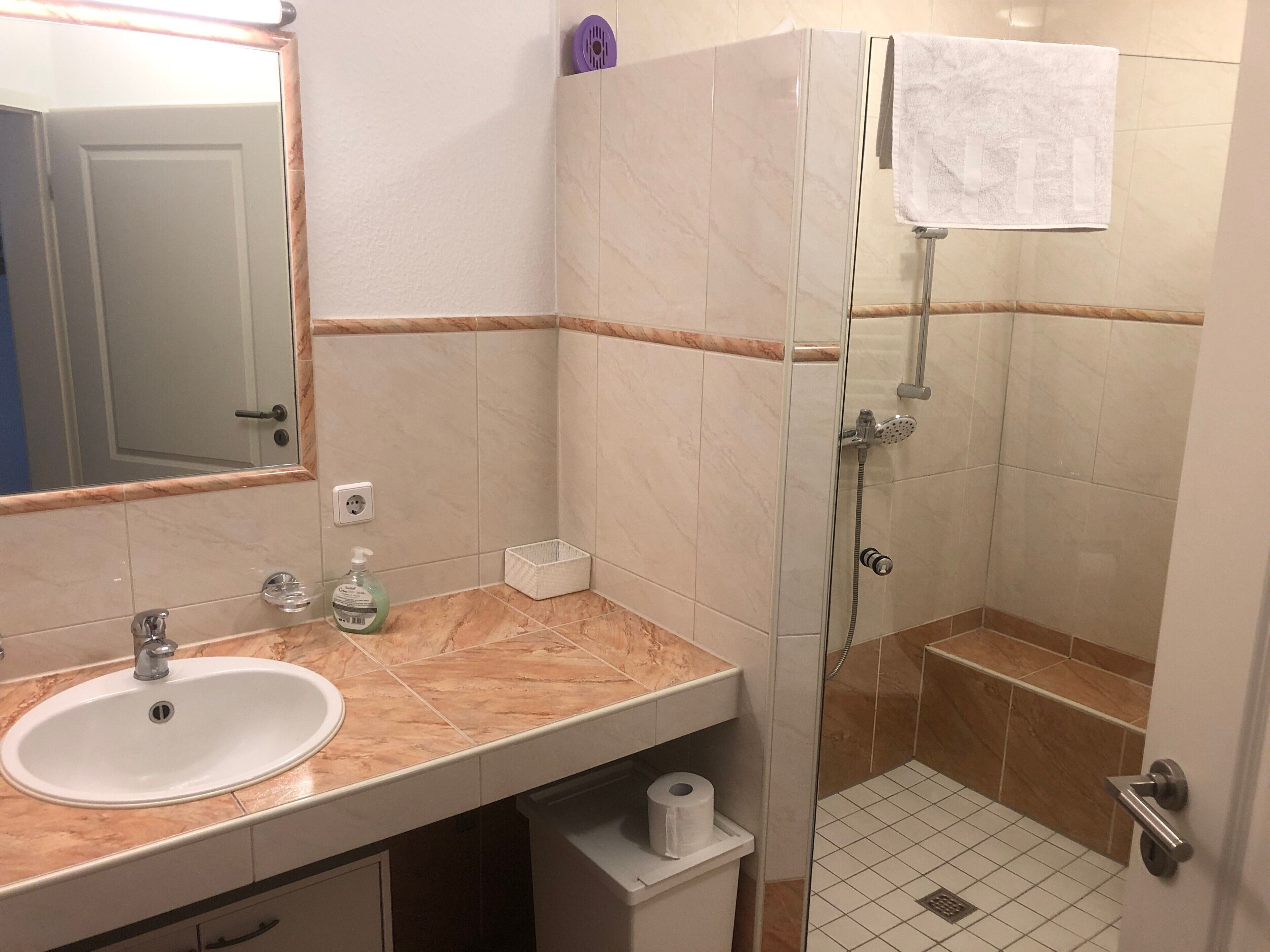 Un bagno con lavandino, specchio, doccia e porta asciugamani.