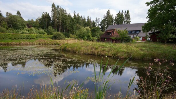 Uma casa junto a um lago, cercada por vegetação e árvores.
