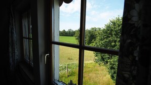 Una ventana con vista a un campo verde y árboles.