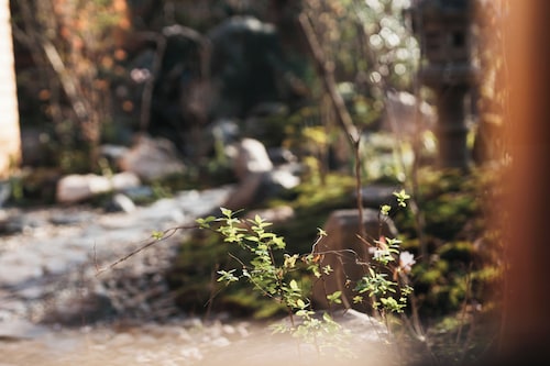 部屋からの景観