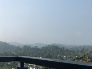 Deluxe Double Room | Soundproofing, free WiFi - Western Ghats Holiday Home (Vythiri)