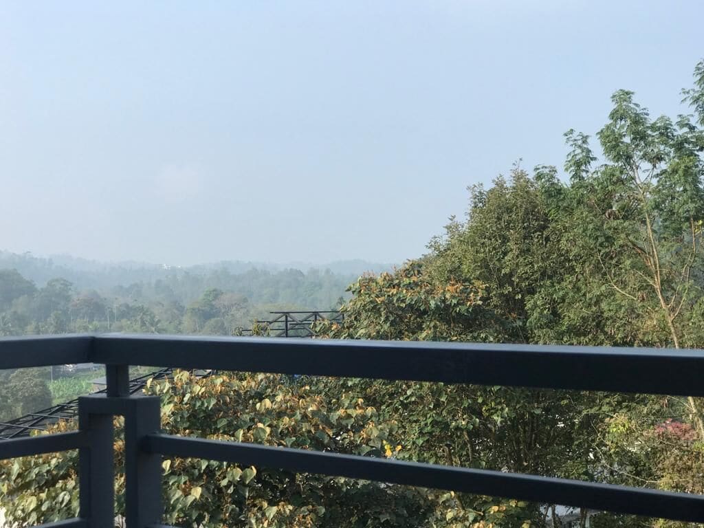Un balcon donnant sur un paysage boisé.