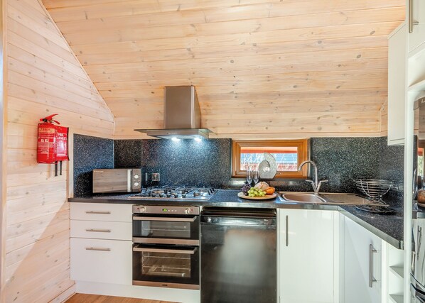 Fridge, oven, stovetop, dishwasher