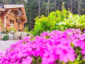 Àrea exterior de l'allotjament