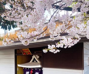 Exterior - JAPAVISTA Dusk (Osaka)