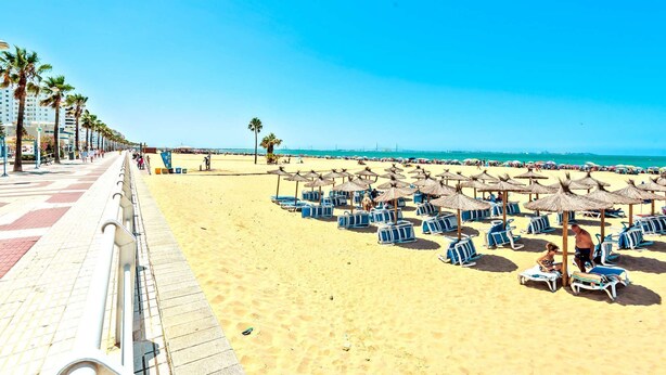 A beach with rows of sun loungers and umbrellas, a walkway with palm trees, and a clear blue sky.