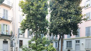 Een binnenplaats met twee grote bomen en een struik, omringd door gebouwen met balkons en ramen.