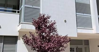 Sunset View Apartment in Baixa da Banheira