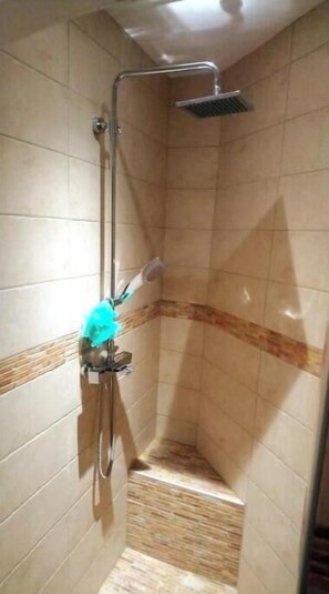 Dusche, Haartrockner, Handtücher, Shampoo