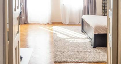 Best area: Large apartment with cleaning service