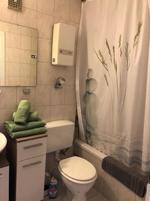 Hair dryer, towels, toilet paper - Ferienwohnung in Bayerischen Wald (Sankt Englmar)